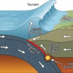 Cross‑section of a subduction zone: oceanic plate sinks beneath continental crust, with a megathrust fault, elastic energy buildup, and a tsunami wave forming near the coast (labels show crust and mantle).