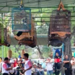 Bird cages hanging from a metal frame above a crowd at a bird show, with spectators watching and taking notes.